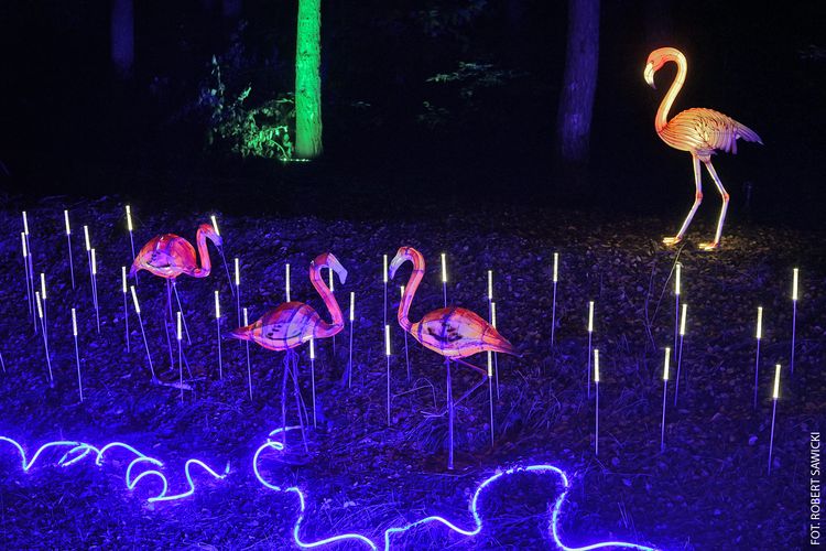 Lumina Park 2025