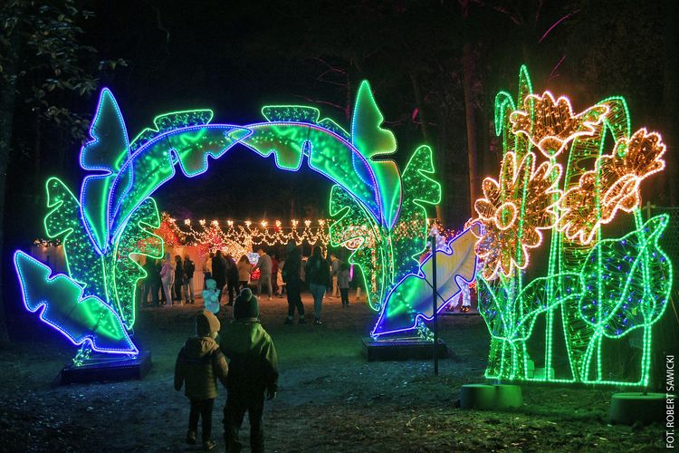 Lumina Park